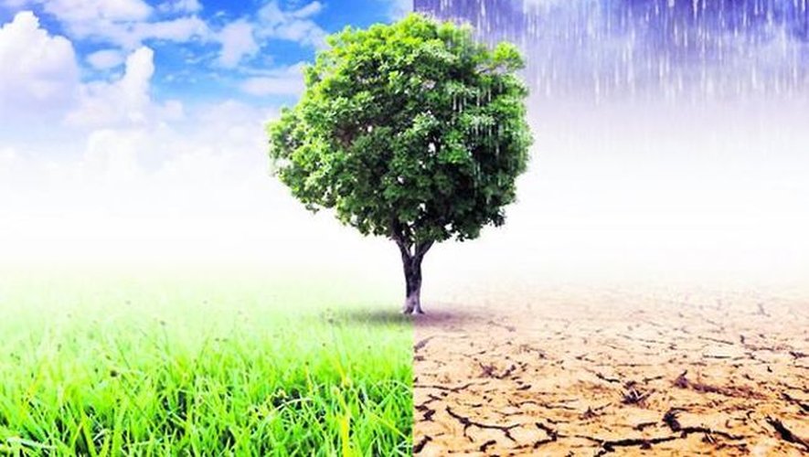 découvrez tout ce qu'il faut savoir sur le climat : définitions, enjeux actuels, changements climatiques et solutions pour préserver notre planète. informez-vous avec des articles détaillés et accessibles à tous.
