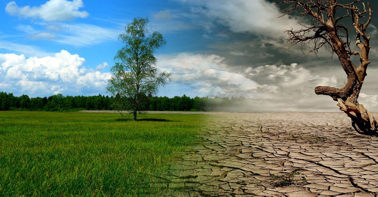 découvrez tout ce qu'il faut savoir sur le climat : définitions, enjeux, évolution et solutions pour préserver notre planète. informez-vous sur l'impact du changement climatique et les moyens d'agir au quotidien.