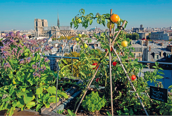 découvrez la nature en ville dans le 3e arrondissement de paris : parcs, jardins cachés, initiatives vertes et conseils pour profiter d'espaces végétalisés en plein cœur du 75003.