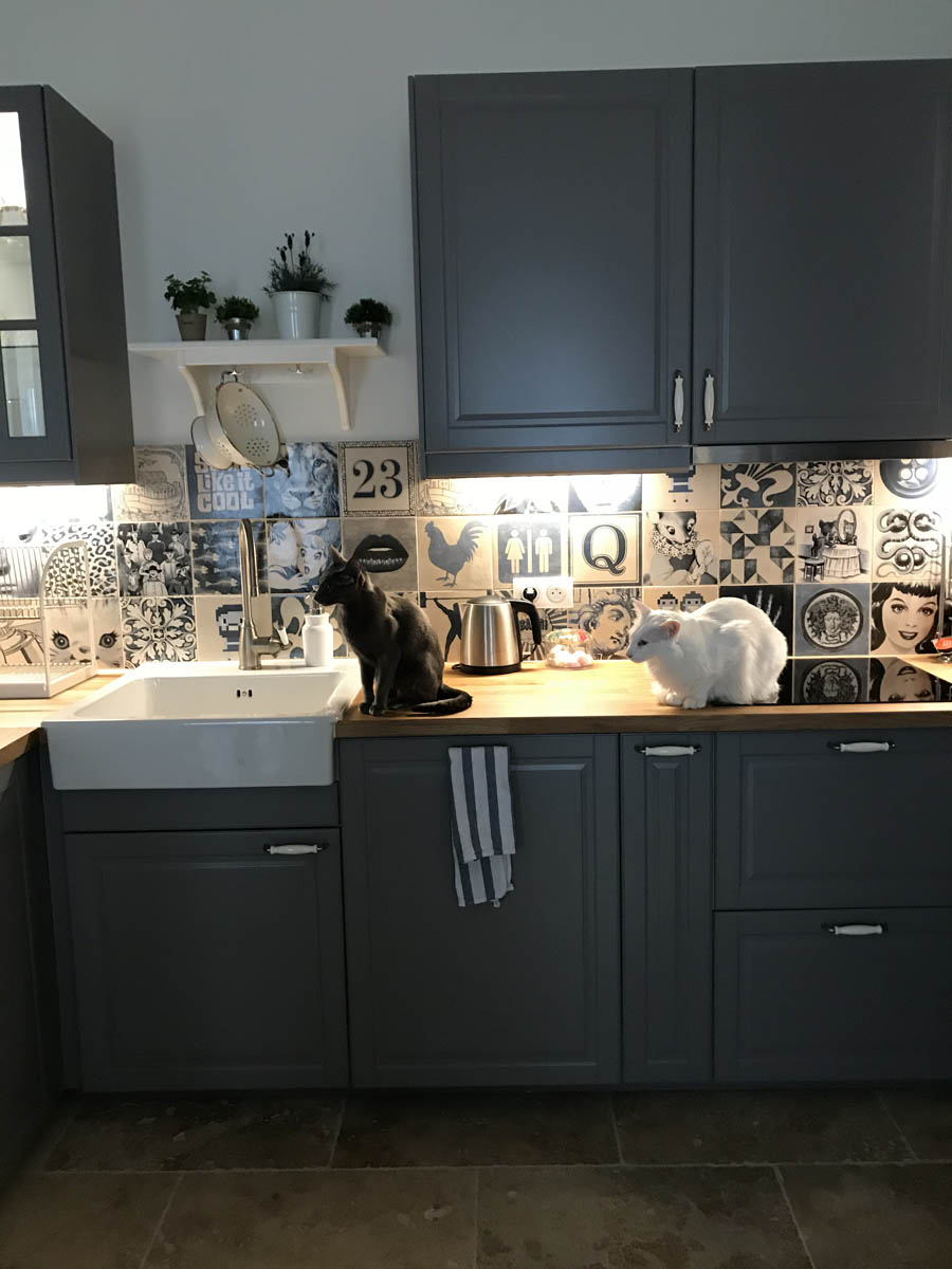 découvrez nos conseils et astuces pour réussir la rénovation de votre cuisine : idées design, choix des matériaux, budget, et guide pas à pas pour transformer cet espace au cœur de votre maison.