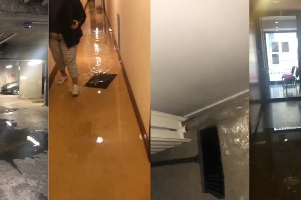 besoin d'une rénovation après un dégât des eaux à paris 8 ? nos experts interviennent rapidement pour remettre votre logement en état et assurer une restauration durable et de qualité.