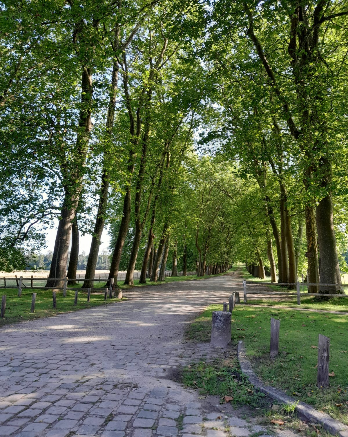 découvrez moigny-sur-école, charmant village en île-de-france, connu pour sa nature préservée, ses sites historiques et son ambiance paisible, idéal pour une escapade à la campagne.